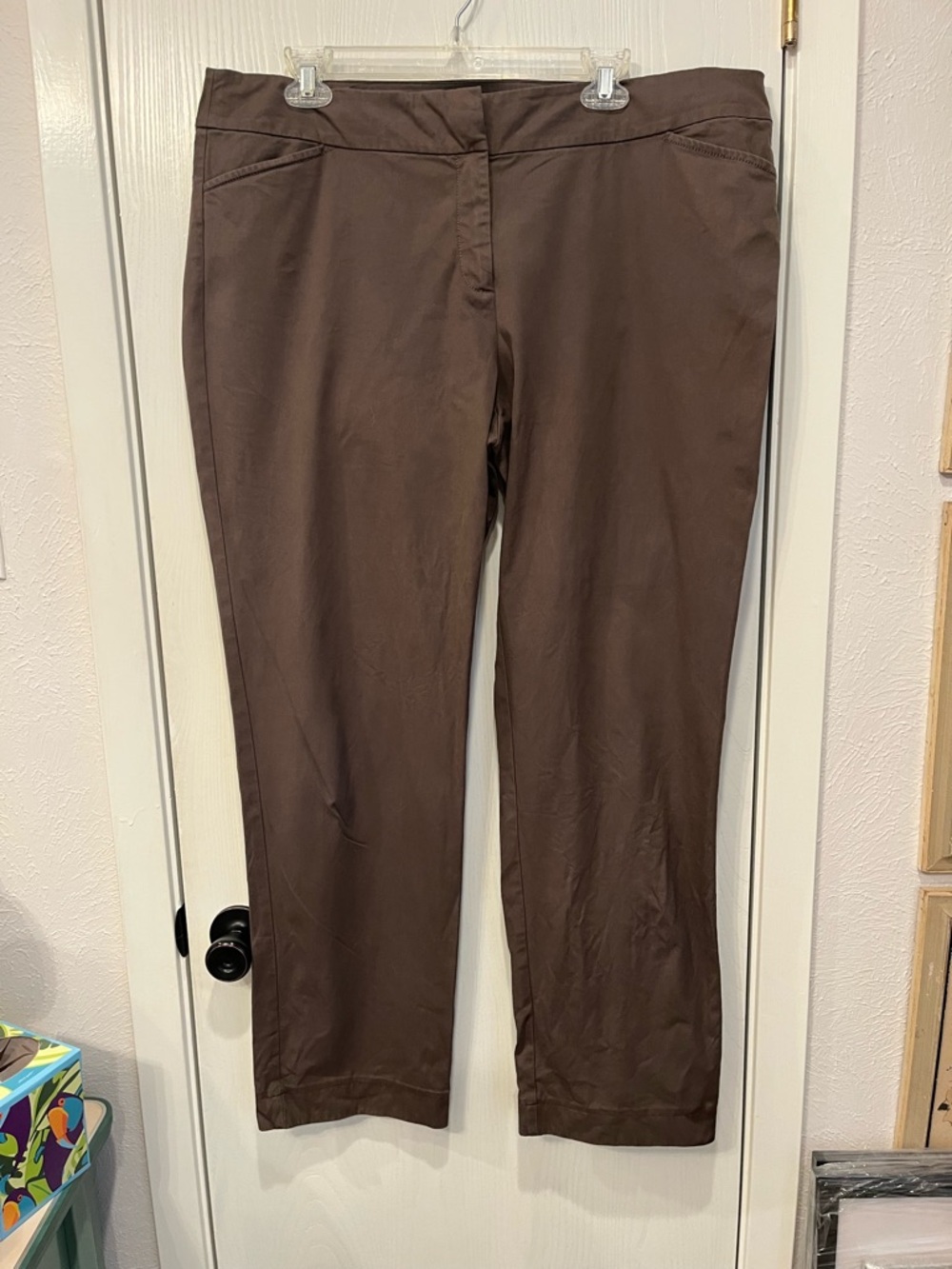 Eileen Fisher Stretch Organic Cotton Chinos Pants Trousers Brown sz Large XL 16